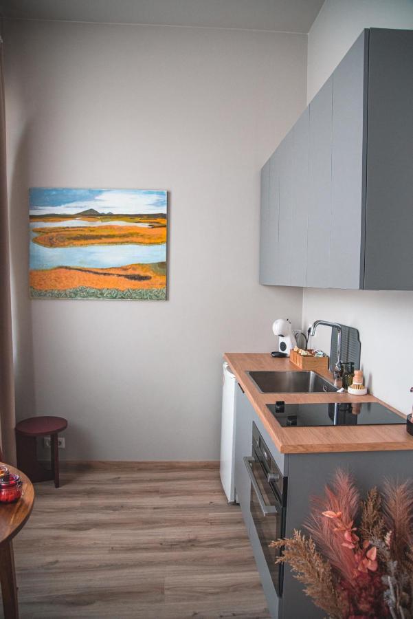 Apartamento Cozy Studio By The City Centre Reikiavik Exterior foto