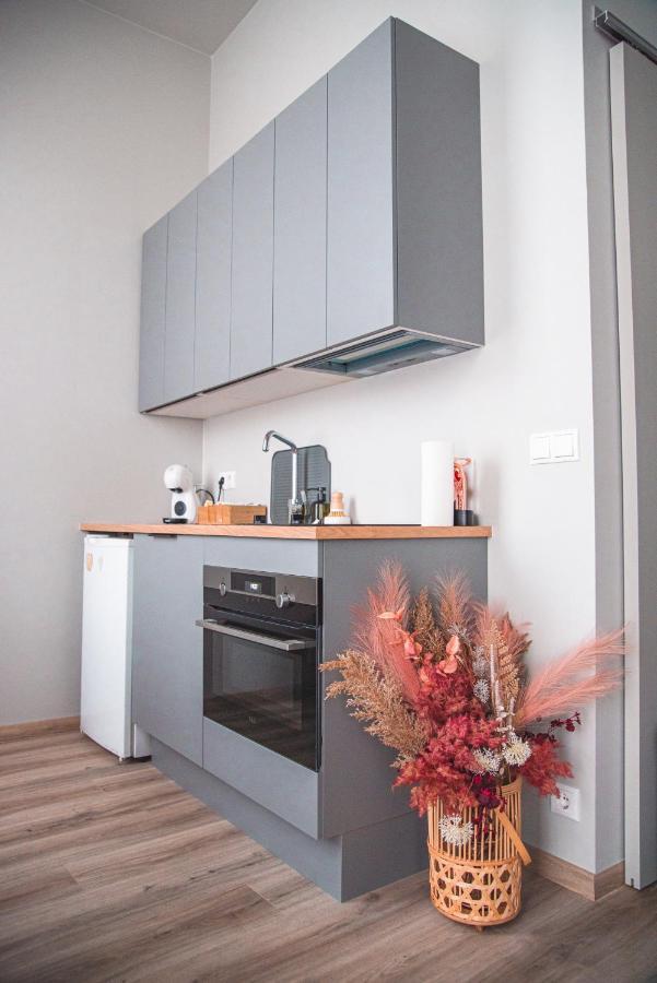 Apartamento Cozy Studio By The City Centre Reikiavik Exterior foto